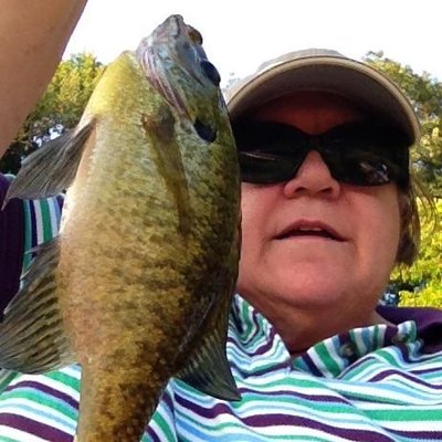 Profile Picture of Sandra Armbruster (@write4today) on Twitter