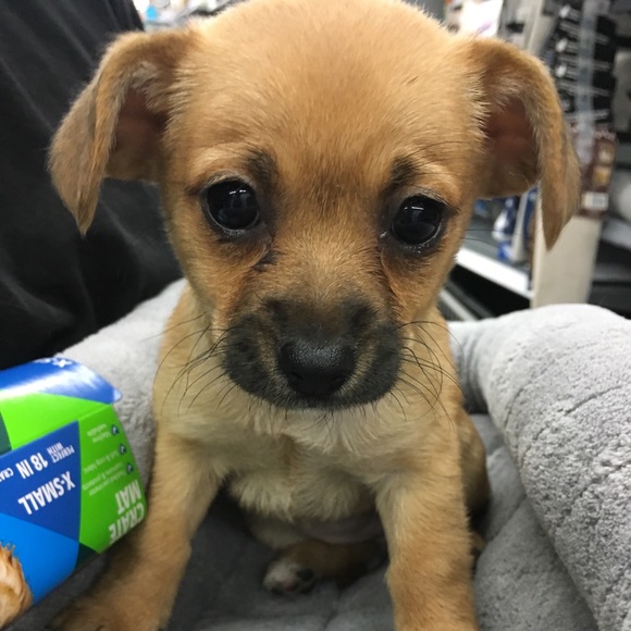 Profile Picture of Eunnie Paik (@ev_0502) on Poshmark