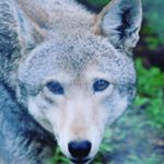 Profile Picture of David Gavner (@davegavner) on Instagram