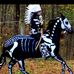 Profile Picture of Jean Moler (@jean.moler.921) on Facebook