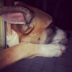 Profile Picture of Joshua Mangum (@jtmangum2015) on Instagram