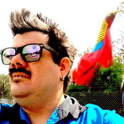 Profile Picture of Proper Dave (@@proper_dave74) on Twitter