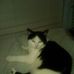 Profile Picture of Lorrie Fleck (@lorrie.fleck.507) on Facebook