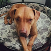 Profile Picture of Lisa Mcnett (@lisa-mcnett-1) on Quora