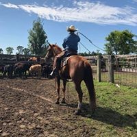 Profile Picture of John Hollis (@john-hollis-24) on Quora