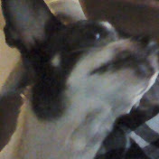 Profile Picture of Arnold Chase (@arnoldchase9247) on Youtube