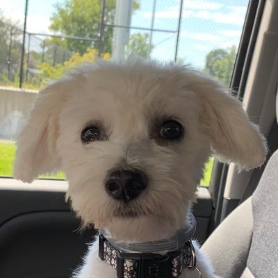 Profile Picture of Jeff Bostwick (@jeffbostwick2) on Twitter