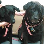 Profile Picture of Ray Augustine (@ray.augustine.79) on Instagram