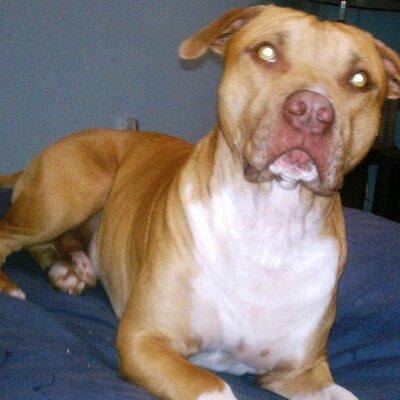 Profile Picture of Stephen Coukos (@StephenCoukos79) on Twitter