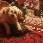 Profile Picture of Alberto Todoran (@Alberto-Todoran) on Facebook