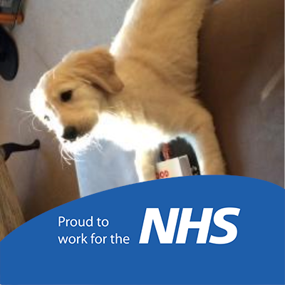 Profile Picture of Dr David Manley RMN (@Rabbitpearls) on Twitter