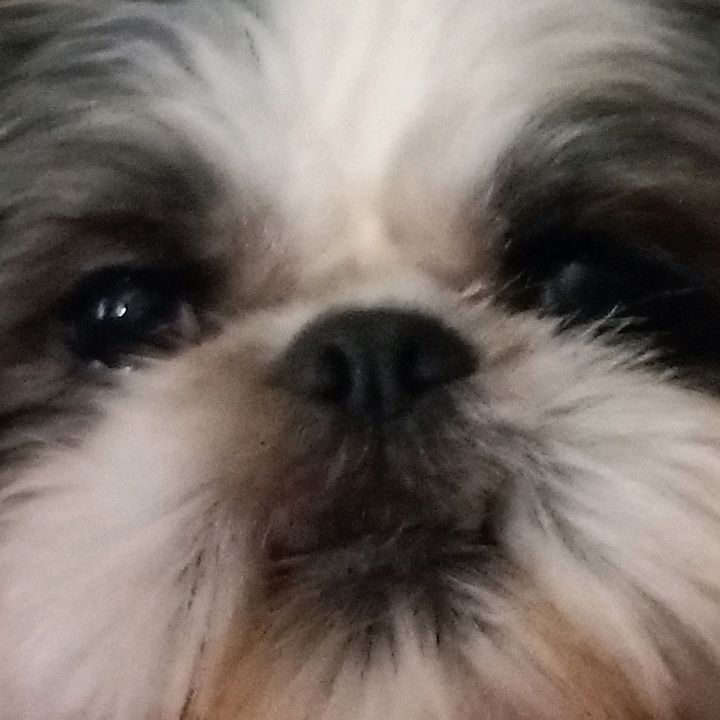 Profile Picture of drew (@andrewtamayo1) on Tiktok