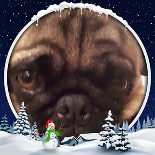 Profile Picture of Col Wileman (@Col-Wileman) on Facebook