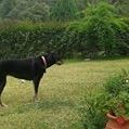 Profile Picture of Paulos Adamopoulos (@admpaul62) on Pinterest