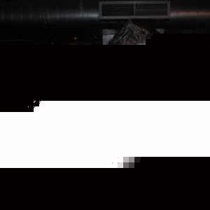 Profile Picture of Jeremy Maraskine (@jeremy.maraskine) on Myspace