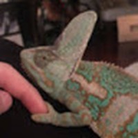 Profile Picture of Sean Lafrance (@sean-lafrance-5) on Quora