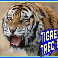 Adrian Abundis - Twitter Profile Picture of Adrian Abundis (@Tigres_trece) on Twitter