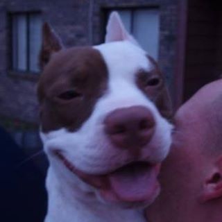 Profile Picture of Jacob Galloway (@jake.galloway.1422) on Facebook