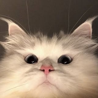 Profile Picture of yrizk_ (@yrizk_) on Instagram