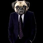 Profile Picture of Ben Simpson (@fr4glord) on Instagram