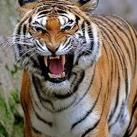 Profile Picture of Octavio Cerna (@octavio.cerna.5) on Facebook