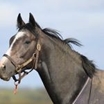 Philip Prince - Instagram Profile Picture of Philip Prince (@philip.prince3) on Instagram