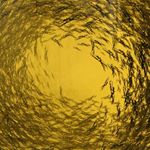 Profile Picture of Joseph Leroux (@j.o.s.e.p.h.l.e.r.o.u.x) on Instagram