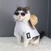 Profile Picture of Nechi (@nechi.nechi.370177) on Facebook