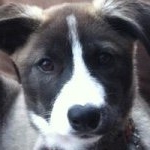 Profile Picture of Heather Golly (@h.golly) on Instagram