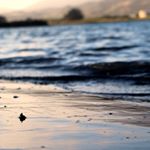 Profile Picture of Andrew Mason Bruch (@andrewbruch_photography) on Instagram