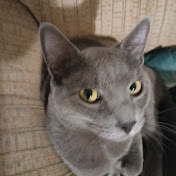 Profile Picture of Pamela Hudson (@pamelahudson8986) on Youtube