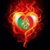 Profile Picture of David De Cesare (@david.decesare.5891) on Facebook