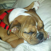 Profile Picture of Sandy Swanson (@sanswan71) on Youtube