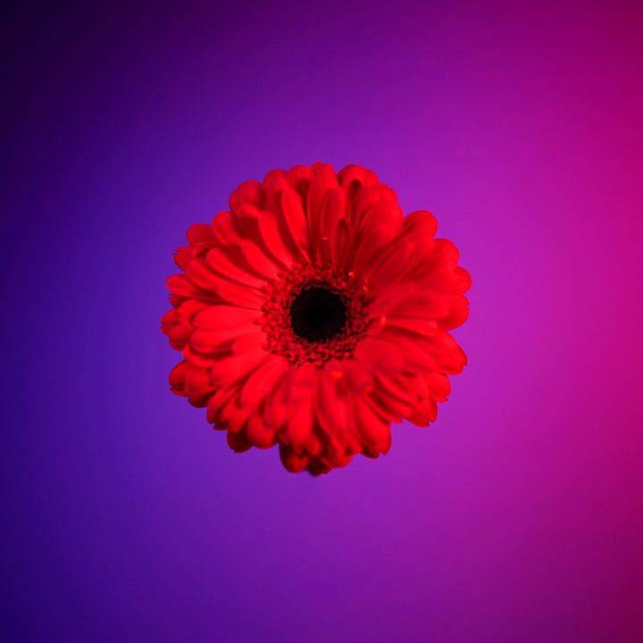 Profile Picture of Virginia Mock (@@virginiamock) on Tiktok