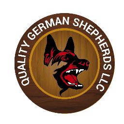 Profile Picture of Cory Prevost (@buyqualitypups) on Twitter