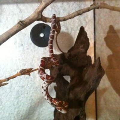 Profile Picture of Paul Dupuy (@paul88700) on Twitter