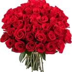 Profile Picture of Schafer Richard (@Schafer-Richard) on Facebook