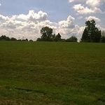 Profile Picture of Toni Everhart (@aveeno787) on Instagram