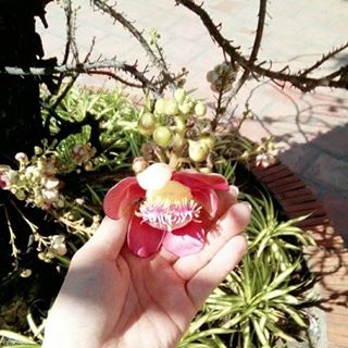 Profile Picture of Nguyễn Thành (@harry.duong.737) on Facebook