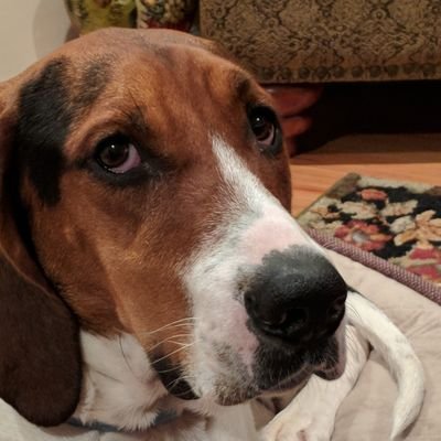 Profile Picture of Kevin Chandler (@F3BallBoy) on Twitter