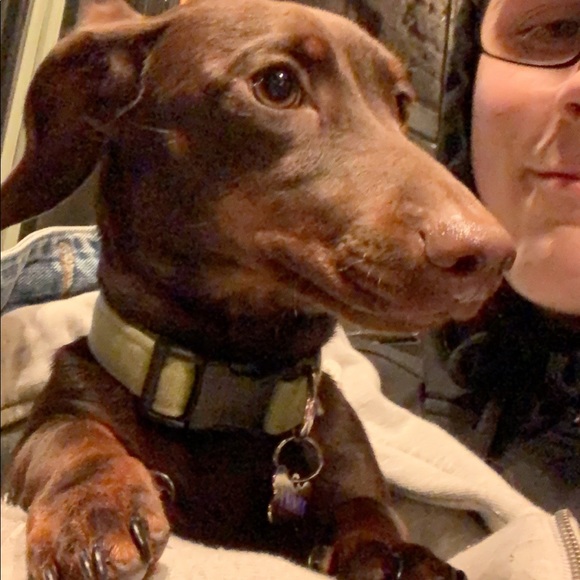 Profile Picture of Jake Paulsen (@jp112197) on Poshmark