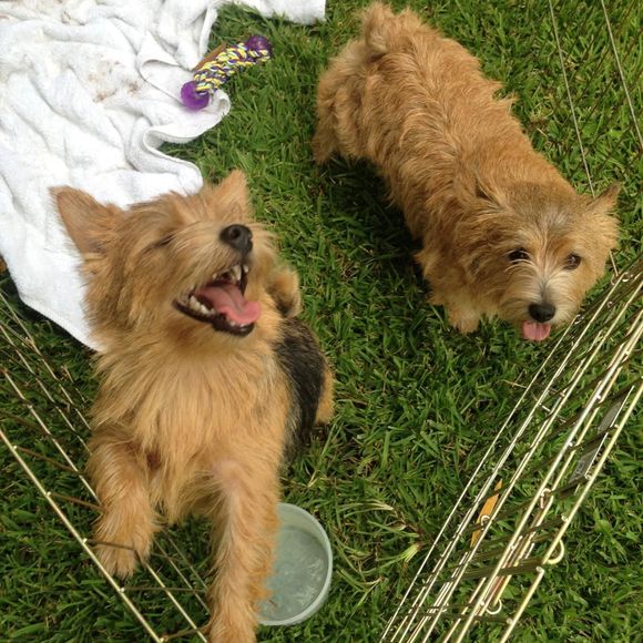 Profile Picture of Kevin Bourgeois (@kevinbourgeois) on Poshmark