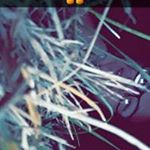 Profile Picture of Autumn Blanton (@blanton_autumn) on Instagram