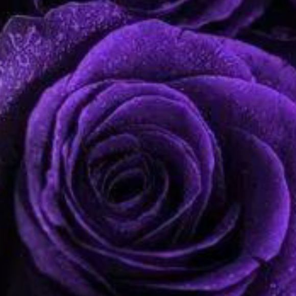 Profile Picture of Pamela Bryant (@a3pbry1) on Poshmark