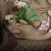 Profile Picture of Dawn Murdock (@dawn.murdock.77) on Facebook