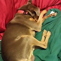 Profile Picture of Kendal Emery (@kendal-emery) on Quora