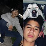 Profile Picture of t-rex potter (@t_rexpotter) on Instagram