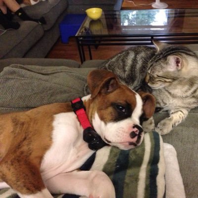 Profile Picture of Jessica (@JessicaChulufas) on Twitter