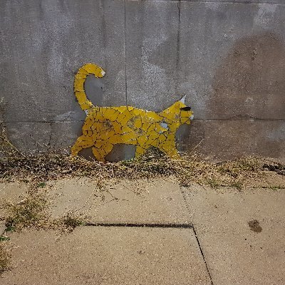 Profile Picture of Tomasz Sobczyk (@tomaszso) on Twitter