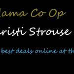 Profile Picture of Christine Strouse (@freshnfrog) on Instagram